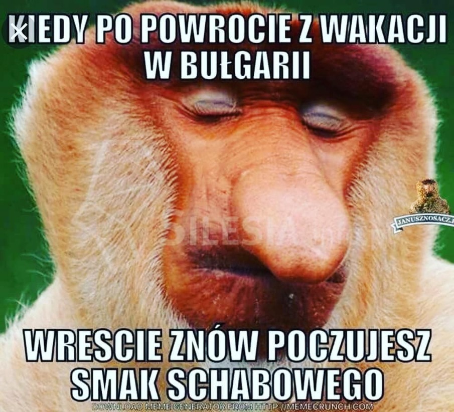 Wczasy w Bułgarii 