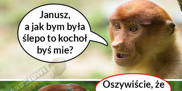 Miłość Janusza :D 