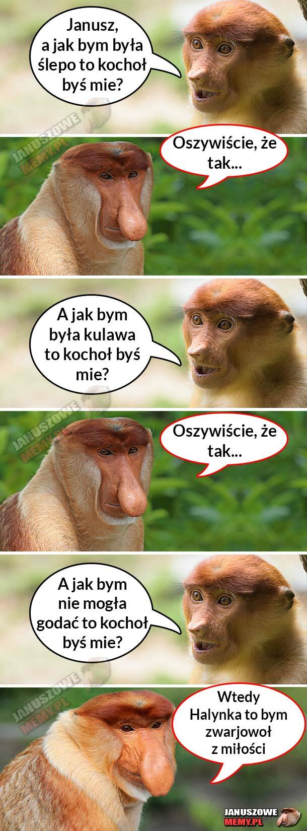 Miłość Janusza :D 