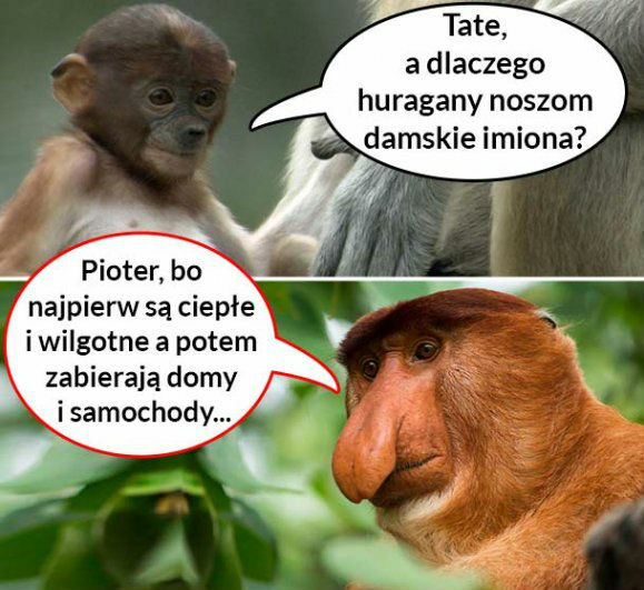 Prawdziwa dusza huraganów :D