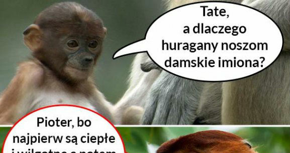 Prawdziwa dusza huraganów :D