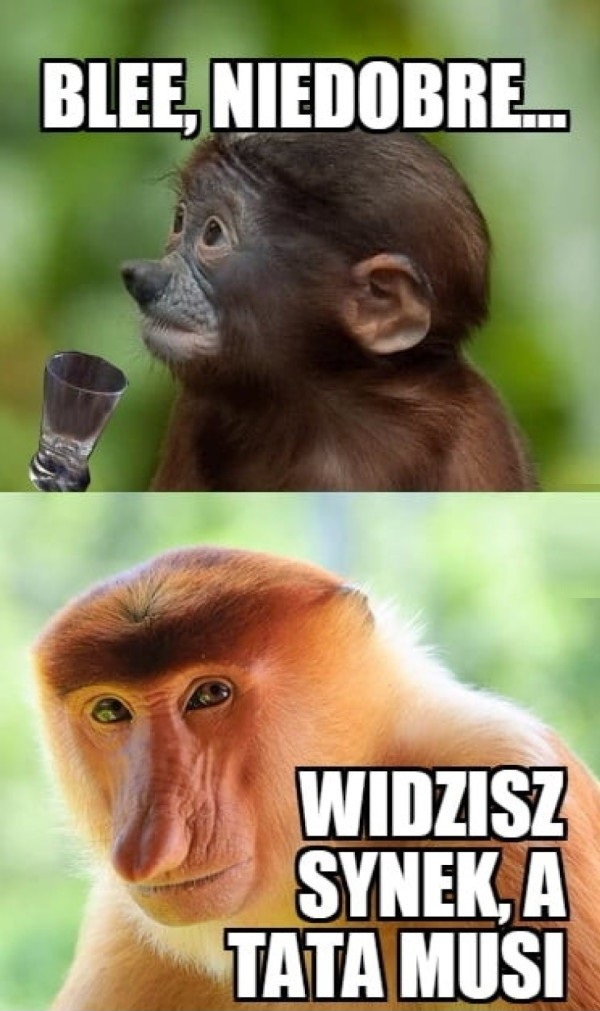 Pierwszy raz z wódką