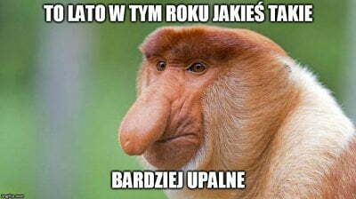Tegoroczne lato 