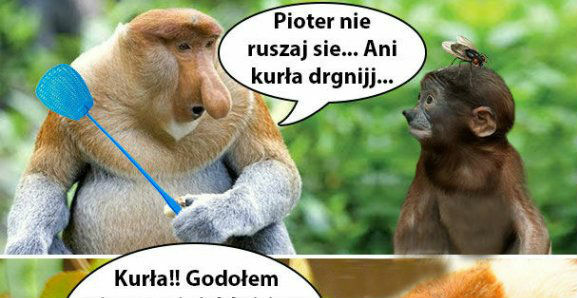 Pioter i mucha :D