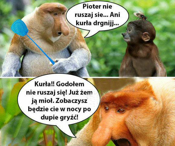 Pioter i mucha :D