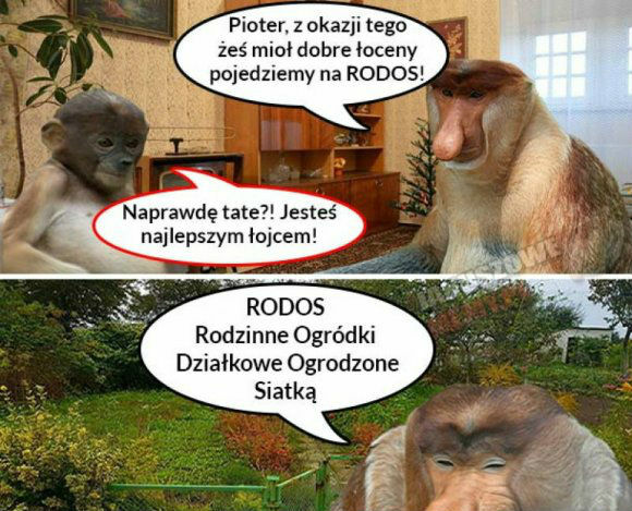 Nagroda marzeń :D