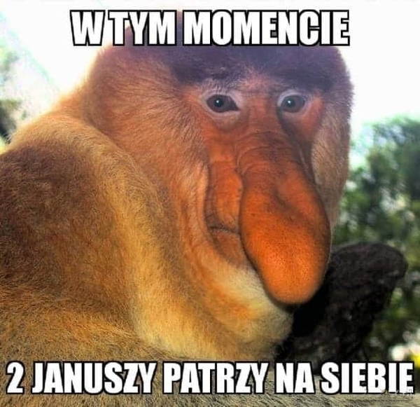 Piękna chwila