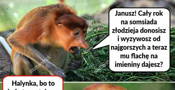 Prezent dla somsiada