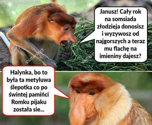Prezent dla somsiada
