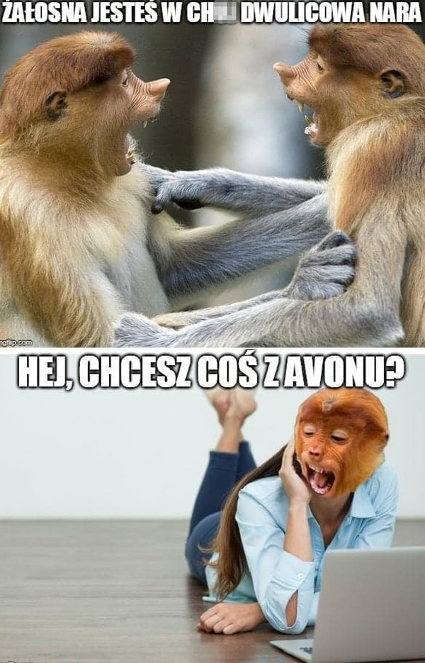 Tak się kończy typowa kłótnia Karyn :D