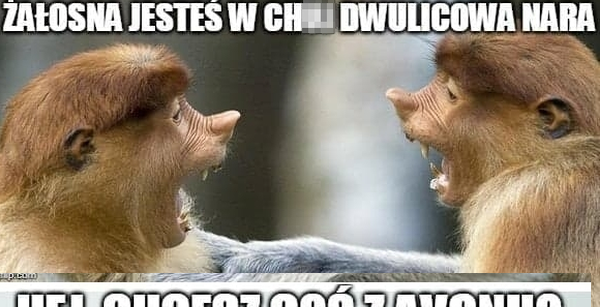 Tak się kończy typowa kłótnia Karyn :D