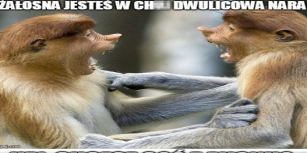 Jesteś żałosna! 
