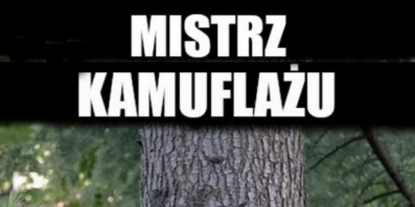 Mistrz kamuflażu :O 