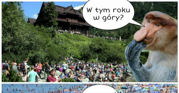 Gdzie w tym roku na wakacje? :D
