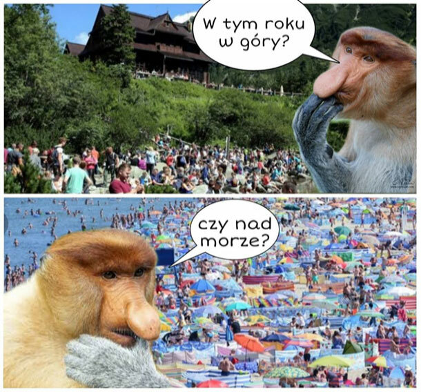 Gdzie w tym roku na wakacje? :D