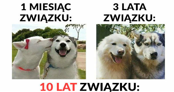 Historia typowego związku :D