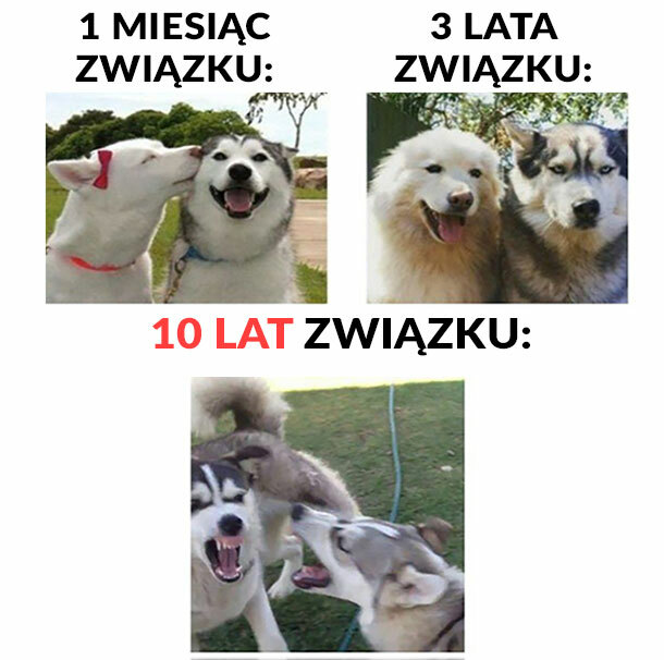 Historia typowego związku :D
