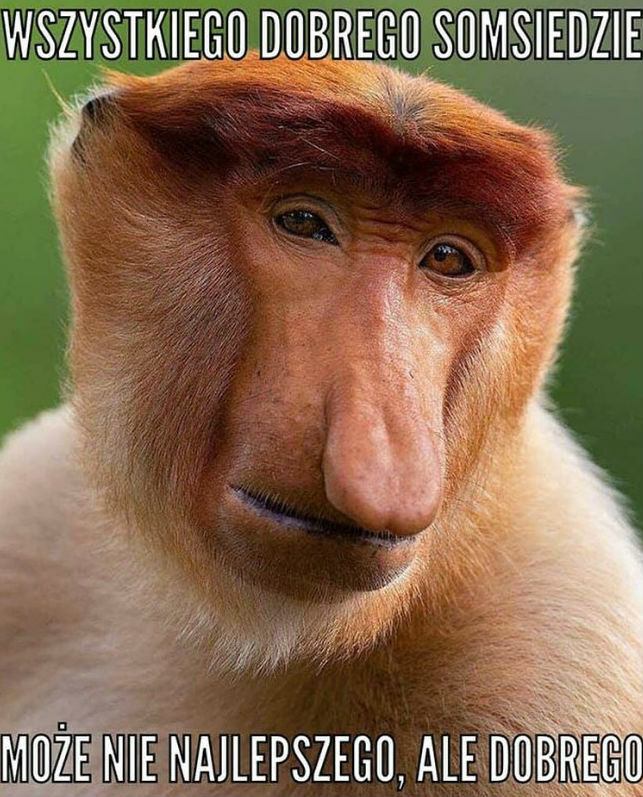 Janusz życzy :D 