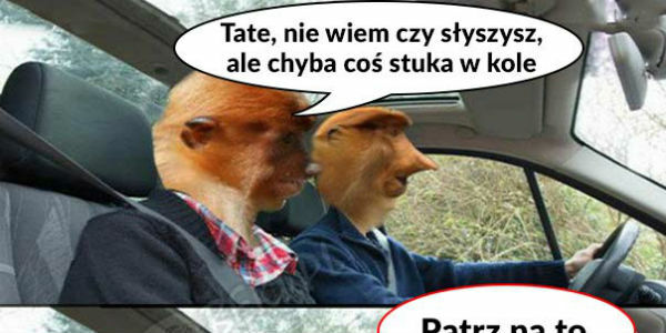 Tate coś nam stuka