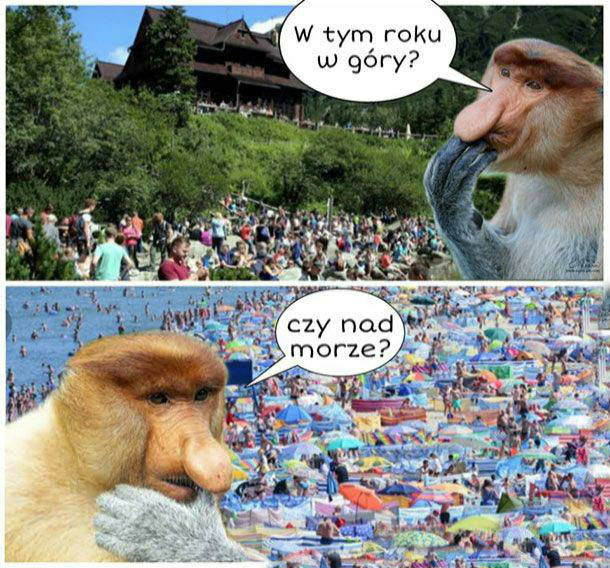 Trudny wybór 