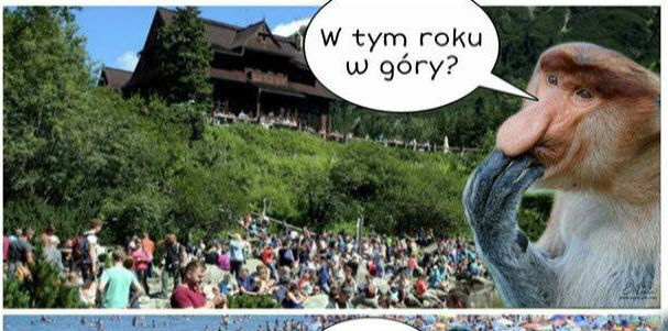Trudny wybór 