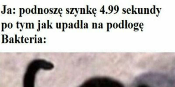 Upadek szynki 