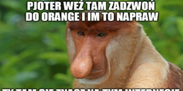 Pjoter weź tam do orendża zadzwoń