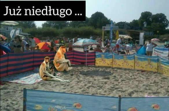 Już niedługo...