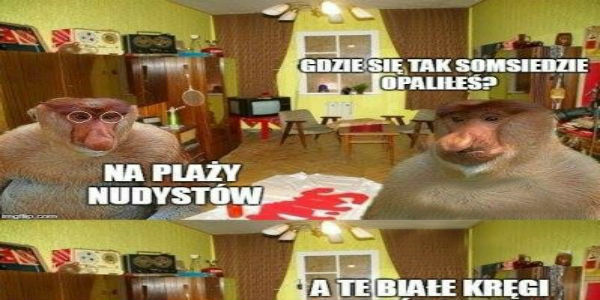 Opalony somsiad 