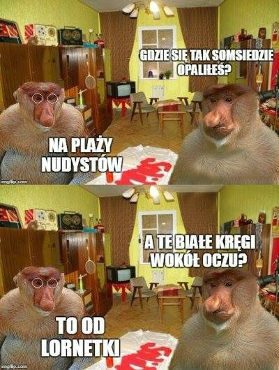 Opalony somsiad 