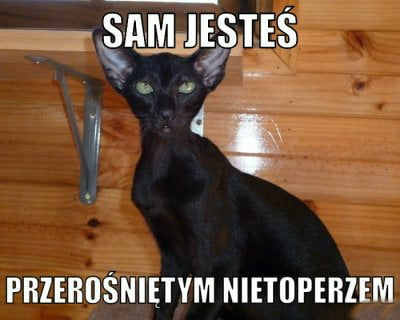 Sam jesteś...! 