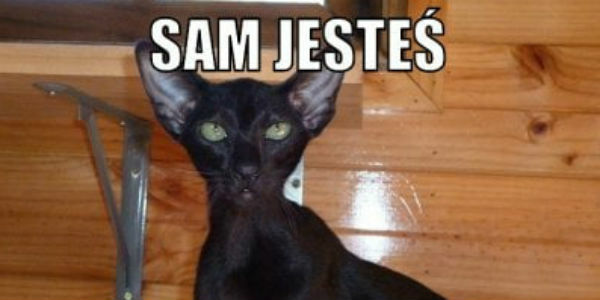 Sam jesteś...! 