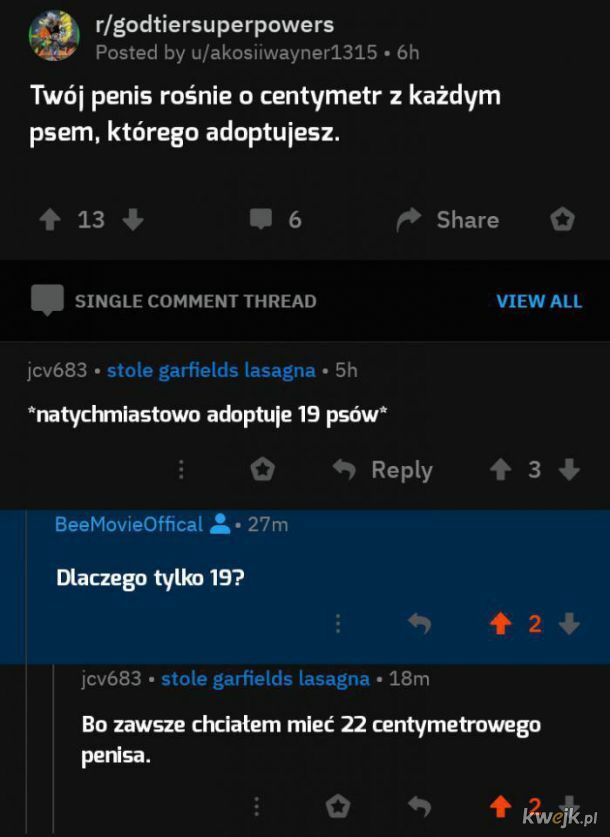 Adopcja psiaków :P 