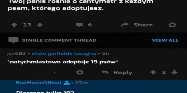 Adopcja psiaków :P 