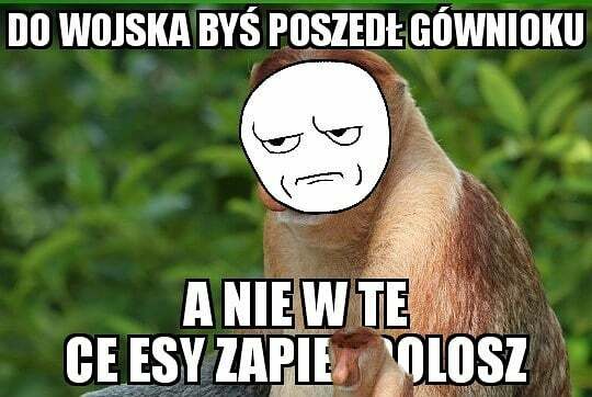 Pioter, do wojska byś lepij poszedł!