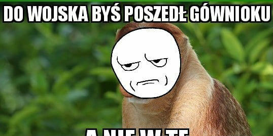 Pioter, do wojska byś lepij poszedł!