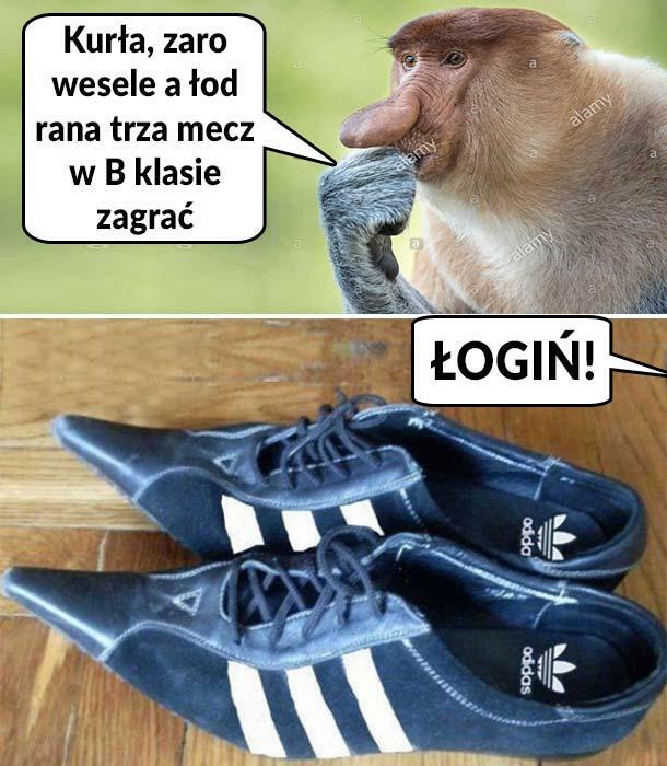 Hybryda :D Najlepsze buty ever!
