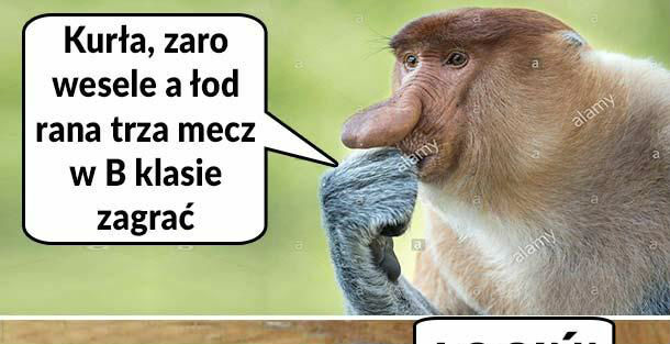 Hybryda :D Najlepsze buty ever!