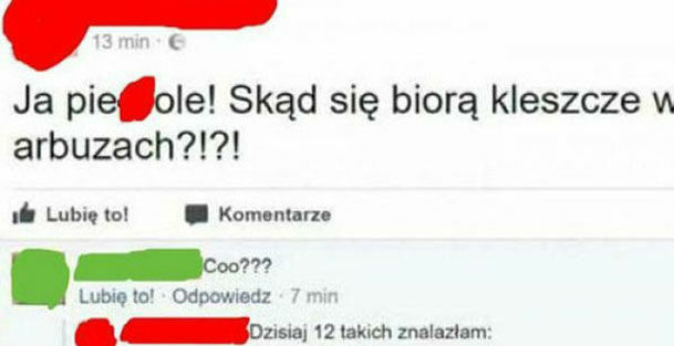 Kleszcze w arbuzach