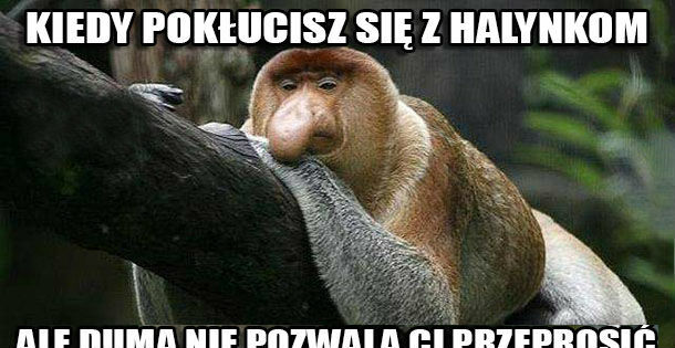 Kłótnia z Halyną