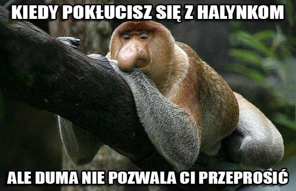 Kłótnia z Halyną