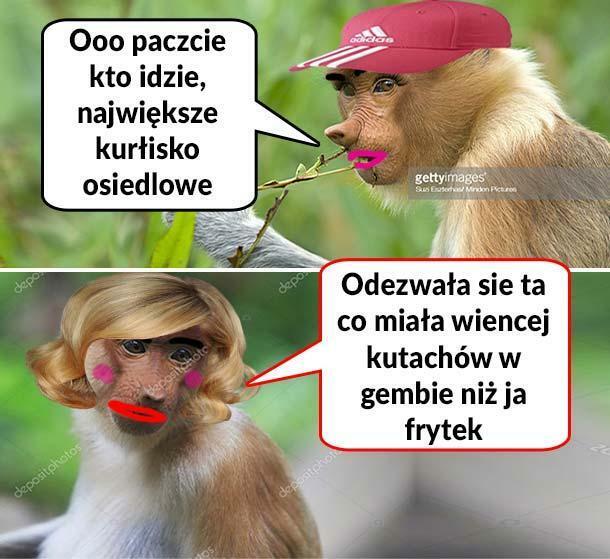 Kłótnia dwóch Karyn :D 