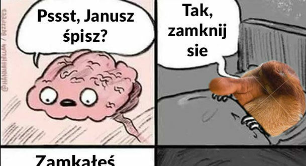 Mózg Janusza tuż przed snem :D