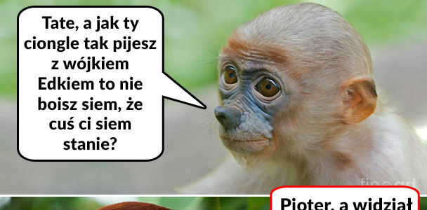 Pijaństwo w wydaniu Janusza i szwagra :D
