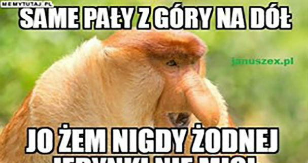 Reakcja Janusza na świadectwo