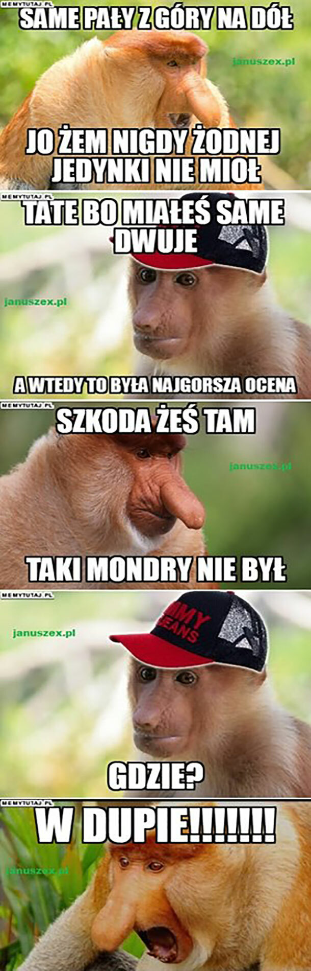 Reakcja Janusza na świadectwo