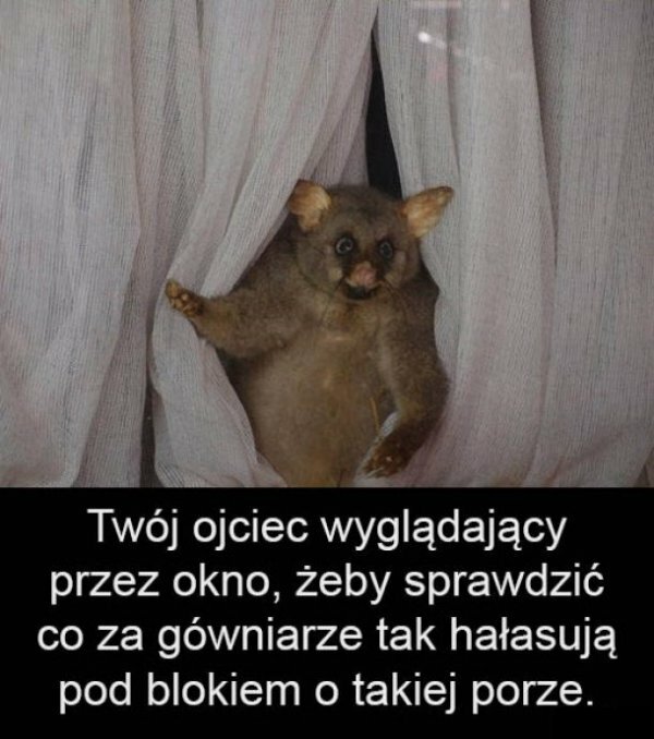 Późna pora
