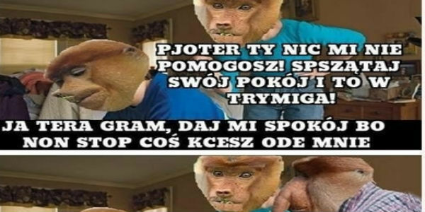 Bezstresowe wychowanie :P 