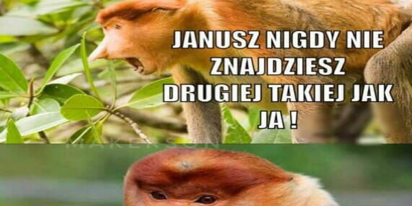 Nigdy takiej nie znajdziesz :D
