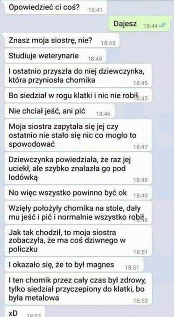 Nietypowa akcja z chomikiem